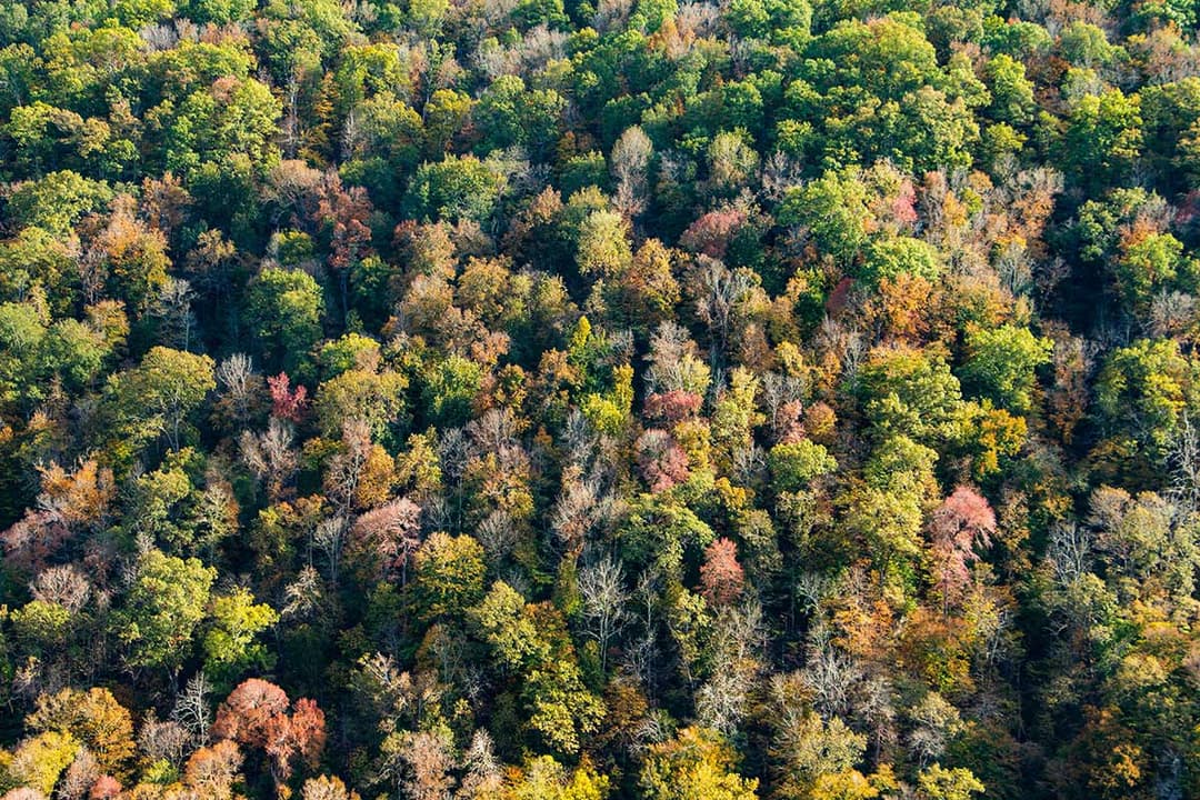 North Canton, United States